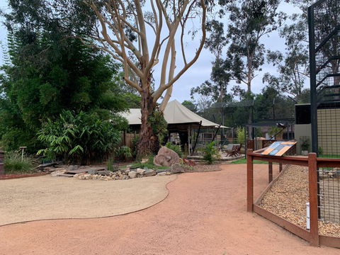 Zambi Wildlife Retreat - Accommodation Mermaid Beach 2
