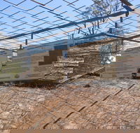 Aboriginal Carvings - Accommodation Mermaid Beach
