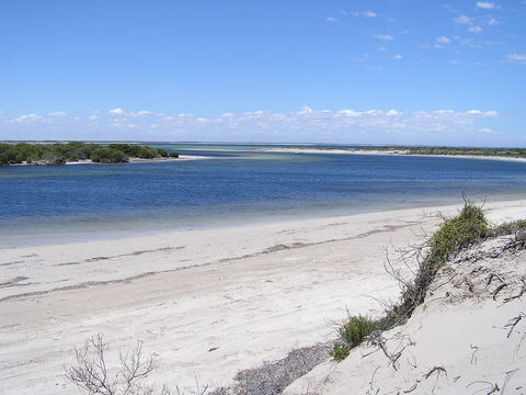Acraman Creek Conservation Park - Accommodation Mermaid Beach 0