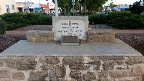 Barmera Horse Trough - Accommodation Mermaid Beach 0