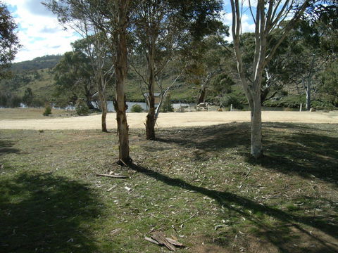 Bombala Platypus Reserve - Accommodation Mermaid Beach 0