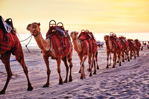 Broome And The Kimberley Coast - Accommodation Mermaid Beach 0