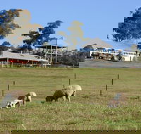 Calmsley Hill City Farm - Accommodation Mermaid Beach