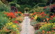 Cloudehill Gardens - thumb 2