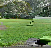 Cottonwood Glen Picnic Area - Accommodation Mermaid Beach