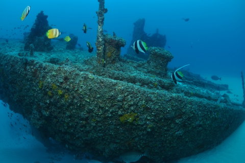 Curtin Artificial Reef Dive Site - Accommodation Mermaid Beach 1