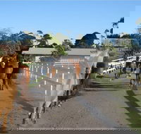 Darkes Forest Riding Ranch - Accommodation Mermaid Beach