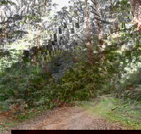 End Peak walking track - Accommodation Mermaid Beach
