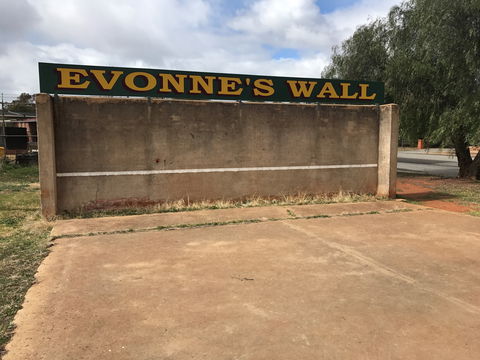 Evonne Goolagong-Cawley Wall - Accommodation Mermaid Beach 0