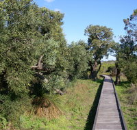 Kepwari Trails Wetland Wonderland - Accommodation Mermaid Beach