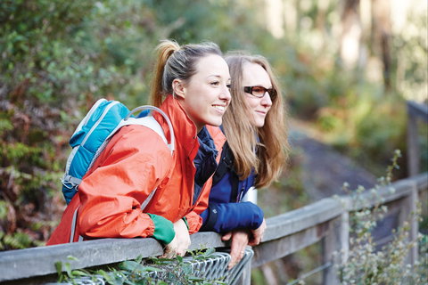 Kinglake National Park - Accommodation Mermaid Beach 2