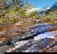 Little Dandahra Creek Walking Track - Accommodation Mermaid Beach