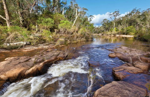 Little Dandahra Creek Walking Track - Accommodation Mermaid Beach 0