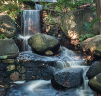 Mackay Regional Botanic Gardens - Accommodation Mermaid Beach