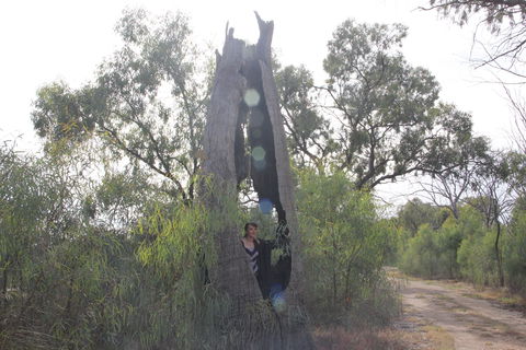Martin Bend Wetland And Walking Trail - Accommodation Mermaid Beach 1