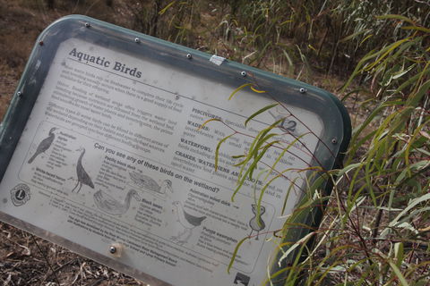 Martin Bend Wetland And Walking Trail - Accommodation Mermaid Beach 2