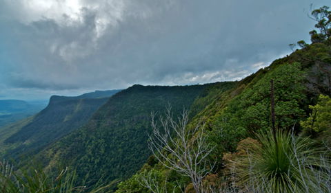 Pinnacle Walk And Lookout - Accommodation Mermaid Beach 0
