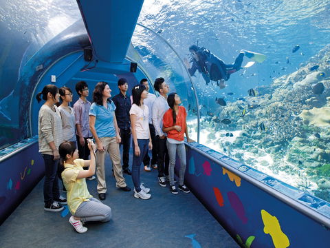 Reef HQ Aquarium - Accommodation Mermaid Beach 2