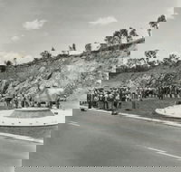 Rockhampton Bull Statues - Accommodation Mermaid Beach