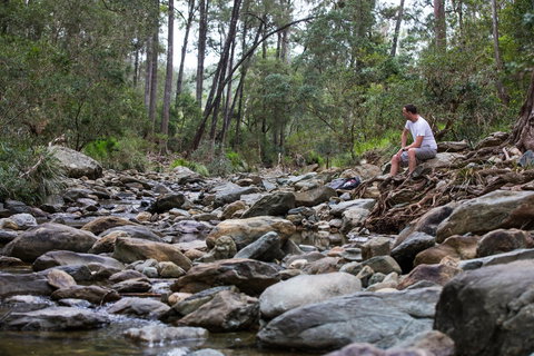 Rocksberg Park Heritage Reserve - Accommodation Mermaid Beach 0