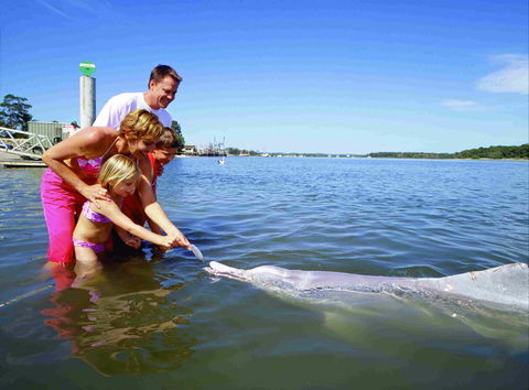 Tourist Drive- Cooloola Coast Fraser Island - Accommodation Mermaid Beach 2
