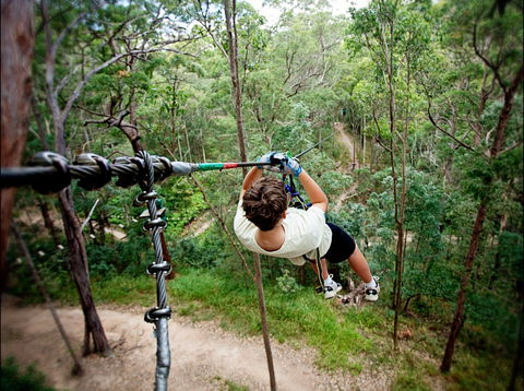 TreeTop Challenge - Accommodation Mermaid Beach 0