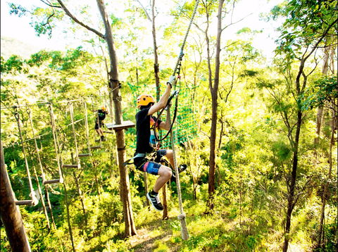 TreeTop Challenge - Accommodation Mermaid Beach 1
