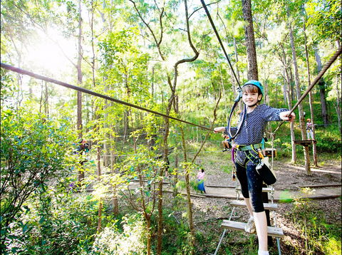 TreeTop Challenge - Accommodation Mermaid Beach 2