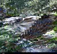 Washpools waterhole - Accommodation Mermaid Beach