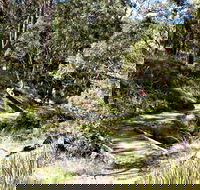Wollomombi Walking Track - Accommodation Mermaid Beach