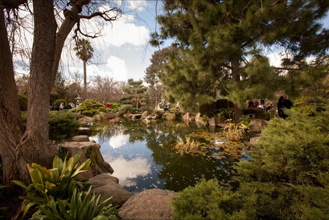 Adelaide Himeji Garden - Accommodation Mermaid Beach 1