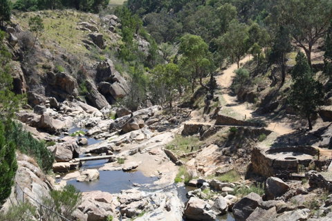 Adelong Falls Gold Mill Ruins - Accommodation Mermaid Beach 1