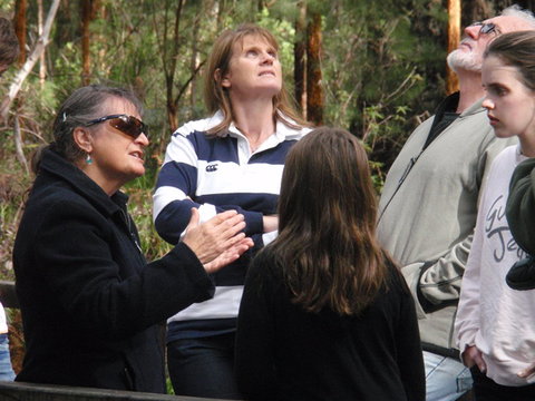 Ancient Empire Walk, Valley Of The Giants - Accommodation Mermaid Beach 1