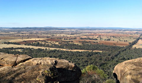 Basin Gully To Eualdrie Lookout Track - Accommodation Mermaid Beach 0