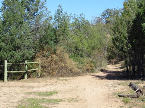 Bindea Walking Track - Accommodation Mermaid Beach 1