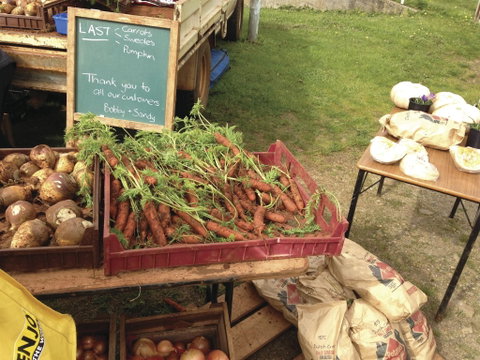 Burnie Farmers Market - Accommodation Mermaid Beach 0