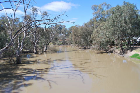 Bush Tucker Trail - Accommodation Mermaid Beach 0