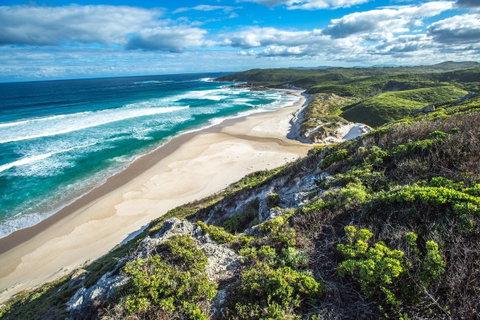 Conspicuous Cliff - Accommodation Mermaid Beach 0