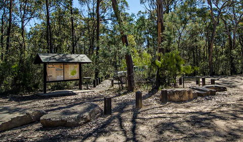 Couridjah Corridor Walk - Accommodation Mermaid Beach 0