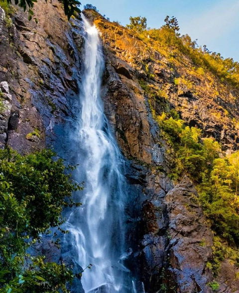 Ellenborough Falls - Accommodation Mermaid Beach 0