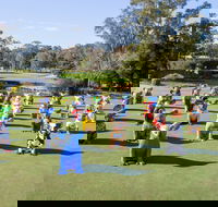 Hello Koalas Sculpture Trail - Accommodation Mermaid Beach