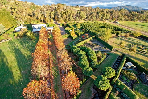High Country Maze - Accommodation Mermaid Beach 1