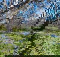 Macquarie Valley Trails - Accommodation Mermaid Beach