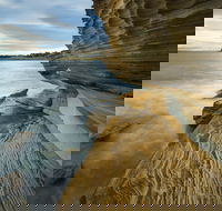 Maria Island - Accommodation Mermaid Beach