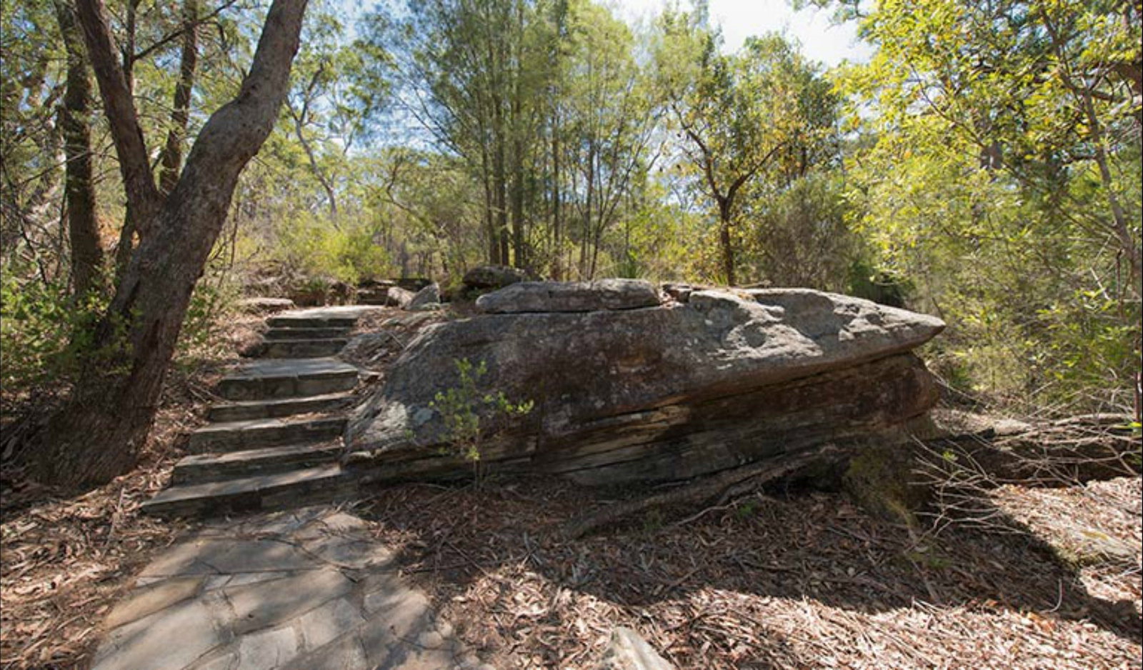 Erina Fair NSW Accommodation Mermaid Beach