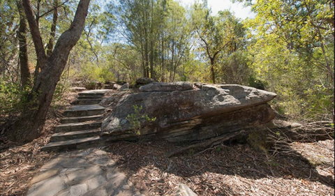 Mooney Mooney Nature Walk - Accommodation Mermaid Beach 0
