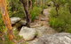 Mount Olive Trail - thumb 0