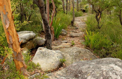 Mount Olive Trail - Accommodation Mermaid Beach 0