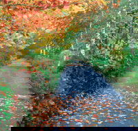 Mount Wilson and Mount Irvine - Accommodation Mermaid Beach