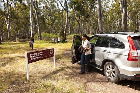 Murray Valley Regional Park - Accommodation Mermaid Beach 0